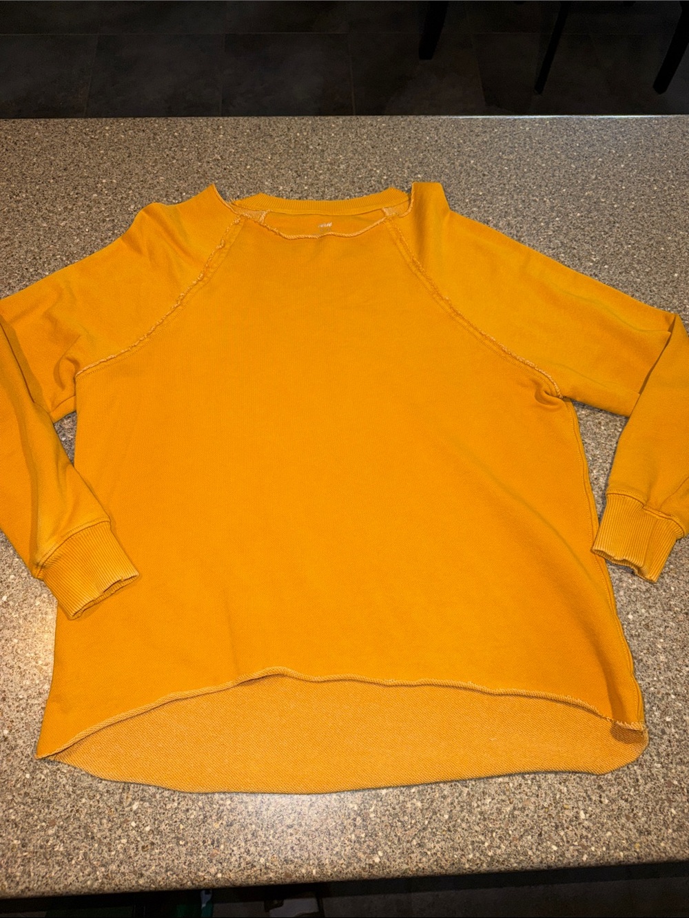 aerie oversized Crewneck Sweatshirt